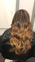 Honey Blonde Highlight Frontal Wig 13x4